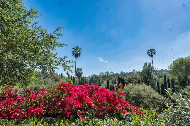 Detail Gallery Image 51 of 67 For 16700 Bosque Dr, Encino,  CA 91436 - 3 Beds | 2/1 Baths
