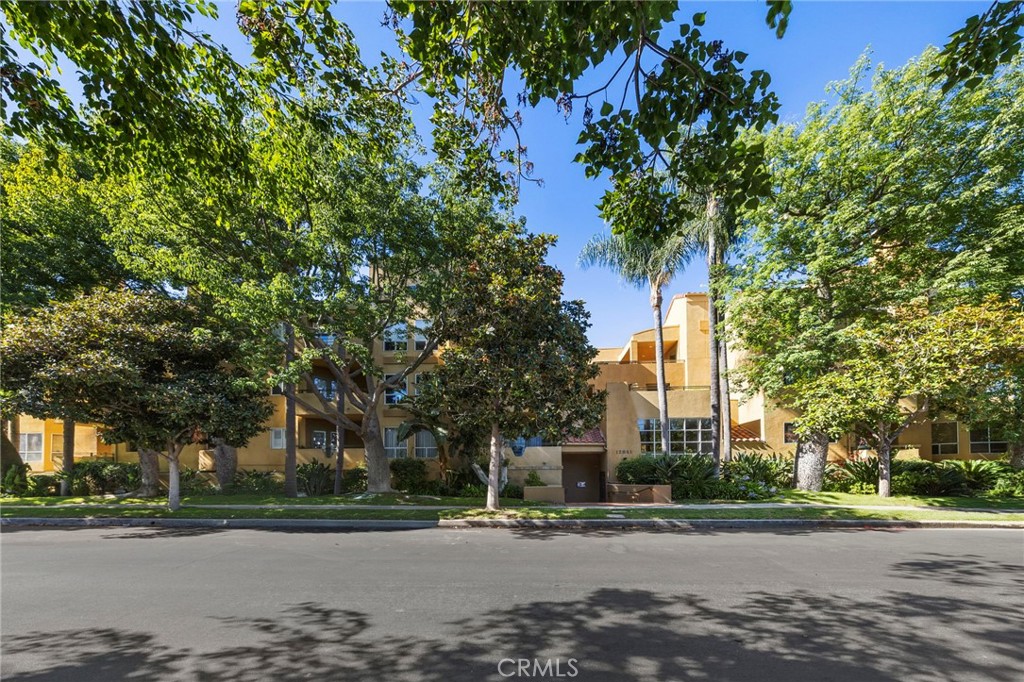 12841 Bloomfield #305
