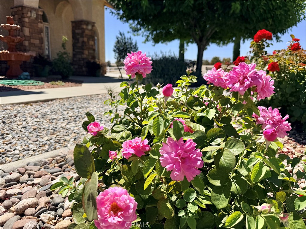 https://media.crmls.org/medias/7c1b2e33-ba4f-431d-bfa9-5e658e016a15.jpg?preset=X-Large
