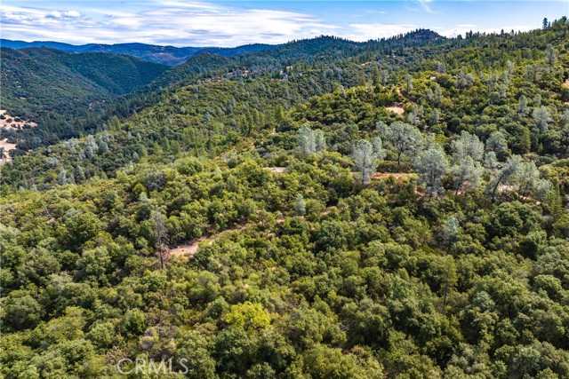 Detail Gallery Image 9 of 9 For 6652 Pappalardo Promenade, Murphys,  CA 95247 - – Beds | – Baths