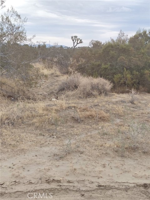  Land for Sale in Phelan, California