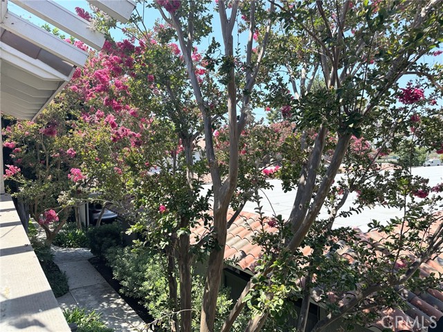 302 Lemon Grove, Irvine CA: https://media.crmls.org/medias/7c232ba0-973c-4e38-91de-5b917c6e52bf.jpg