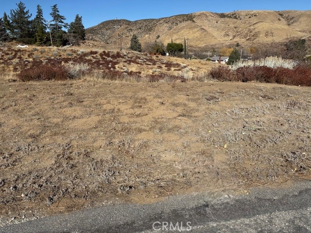 MLS #SR24250438 image #1