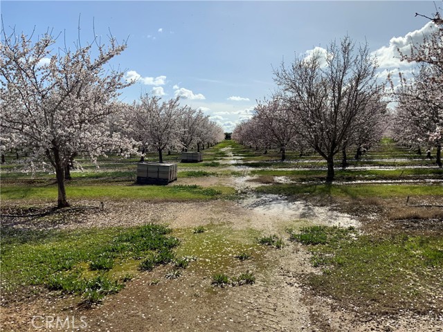 24895 New Jersey Avenue, Corning, California 96021, 3 Bedrooms Bedrooms, ,2 BathroomsBathrooms,Residential,For Sale,24895 New Jersey Avenue,CRSN24036321