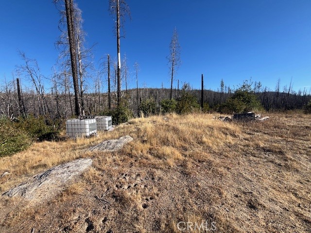 80 Oak Drive, Berry Creek CA: https://media.crmls.org/medias/7c3cca93-ccab-4bc0-8269-9e145d916994.jpg