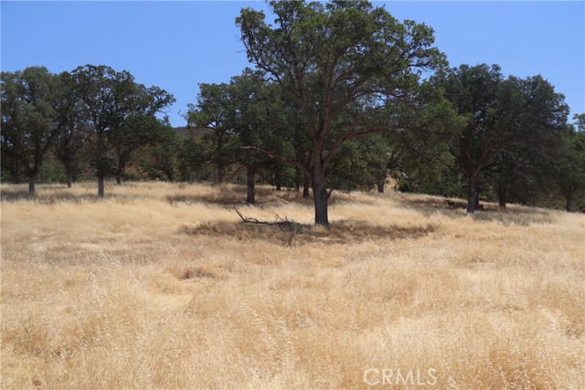 22605 Cascio Way, Lower Lake CA: https://media.crmls.org/medias/7c3dae79-1af0-44f2-b227-03dcc5ec5238.jpg