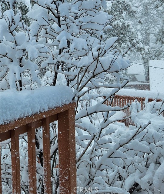 Detail Gallery Image 29 of 30 For 1025 Rivera, Wrightwood,  CA 92397 - 3 Beds | 2 Baths