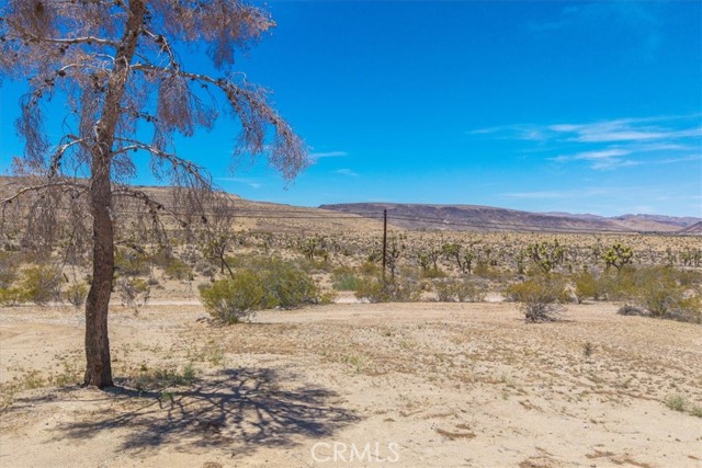 3977 Sage Avenue, Yucca Valley CA: https://media.crmls.org/medias/7c46cb17-76b3-4279-93e0-c73a233705fe.jpg