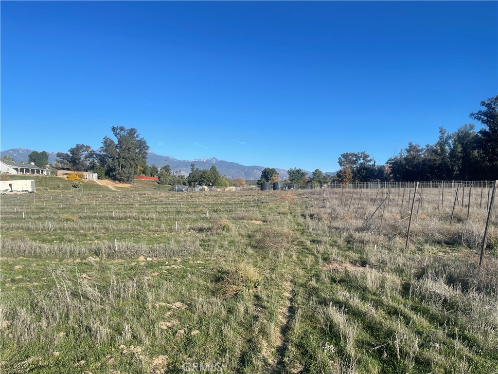 MLS #WS25276306 image #20