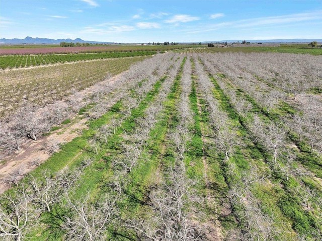 Detail Gallery Image 12 of 34 For 2301 O Banion, Yuba City,  CA 95993 - – Beds | – Baths