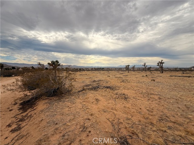 Front Image Thumbnail for CRHD25266491