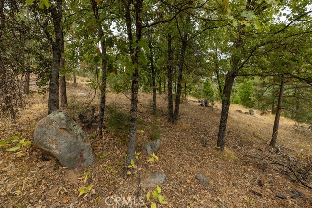 Detail Gallery Image 28 of 55 For 26 Timberview, North Fork,  CA 93643 - – Beds | – Baths