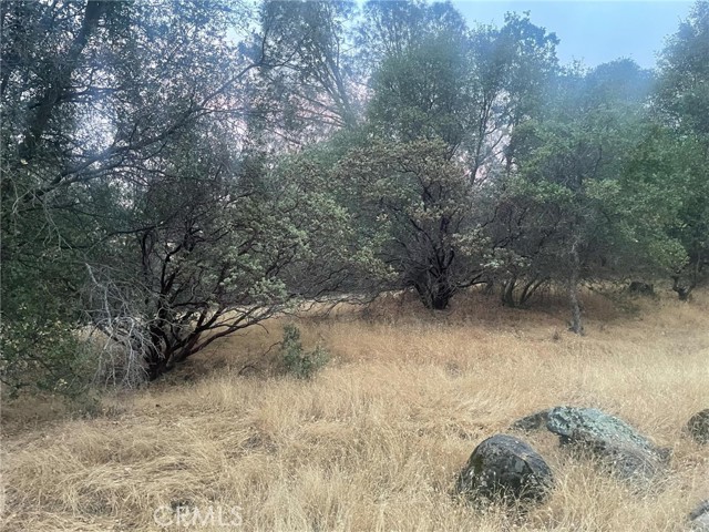 Detail Gallery Image 15 of 19 For 43020 Apache Ranch Rd, Ahwahnee,  CA 93601 - – Beds | – Baths