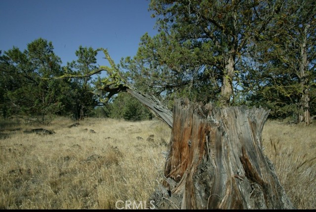 Detail Gallery Image 6 of 11 For 0 99xx Big Springs Rd, Montague,  CA 96064 - – Beds | – Baths