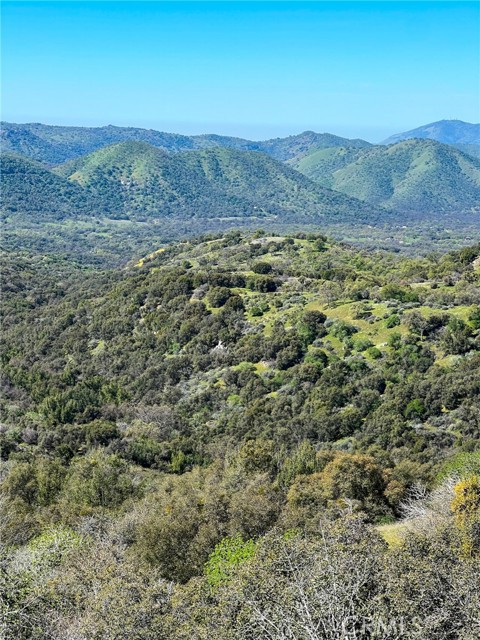 Detail Gallery Image 61 of 74 For 44981 Todd Eymann Rd, Miramonte,  CA 93641 - 1 Beds | 1 Baths