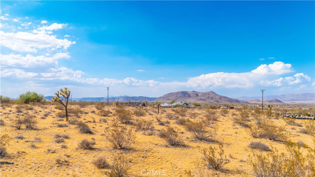 MLS #JT25139661 image #9