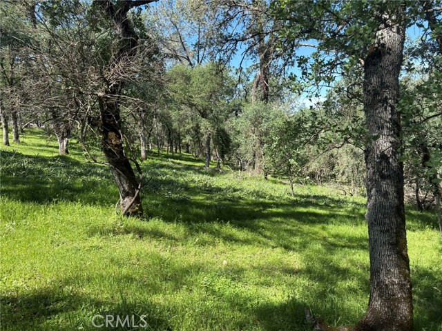 Detail Gallery Image 14 of 26 For 3465 Foothill Bld, Oroville,  CA 95966 - – Beds | – Baths