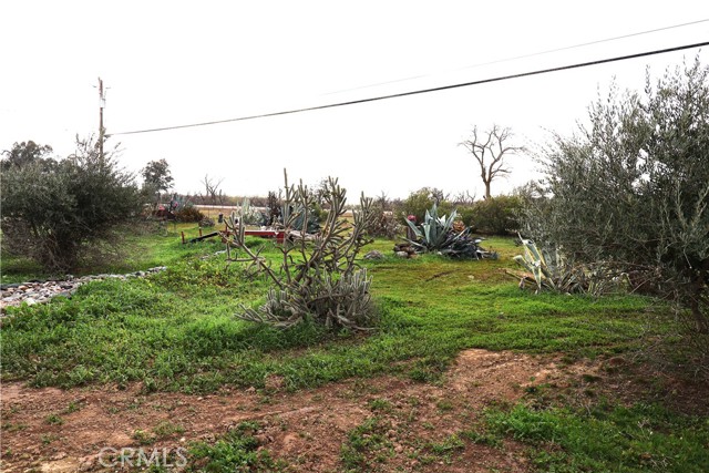 Detail Gallery Image 8 of 51 For 20490 Corning Rd., Corning,  CA 96021 - 2 Beds | 2 Baths