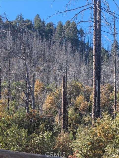 Detail Gallery Image 11 of 38 For 1833 Hunter Point Rd, Upper Lake,  CA 95485 - – Beds | – Baths