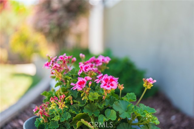 17131 Pinehurst Lane, Huntington Beach CA: https://media.crmls.org/medias/7c7e271b-5527-49c1-955b-3c7f7ab0427e.jpg
