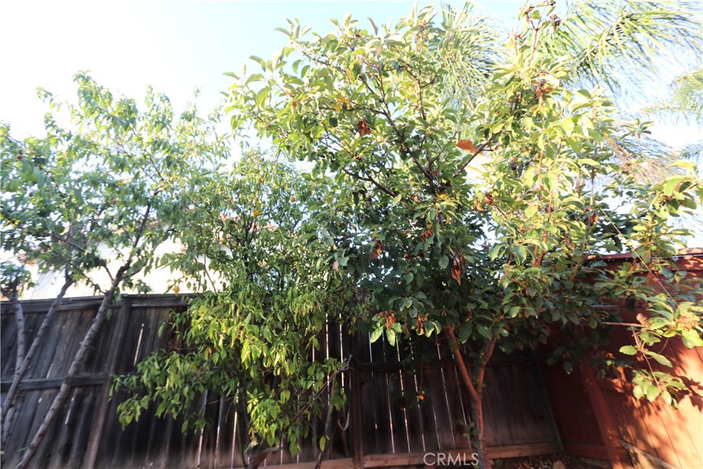 MLS #CV25232388 image #32