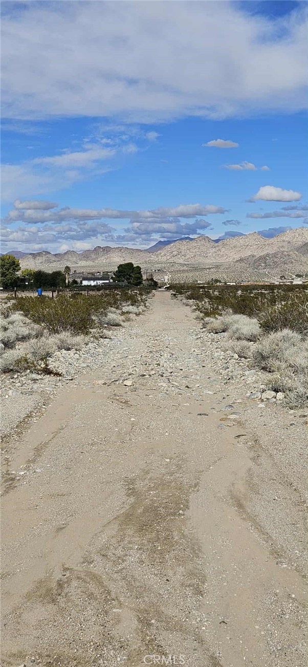 MLS #HD25262731 image #6