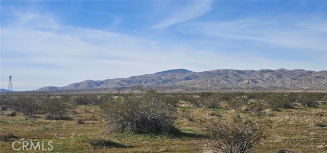 Front Image Thumbnail for CRSR25276062