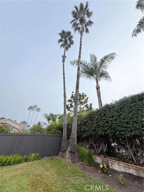 Detail Gallery Image 69 of 75 For 15999 via De Las Palmas, Rancho Santa Fe,  CA 92091 - 3 Beds | 2 Baths