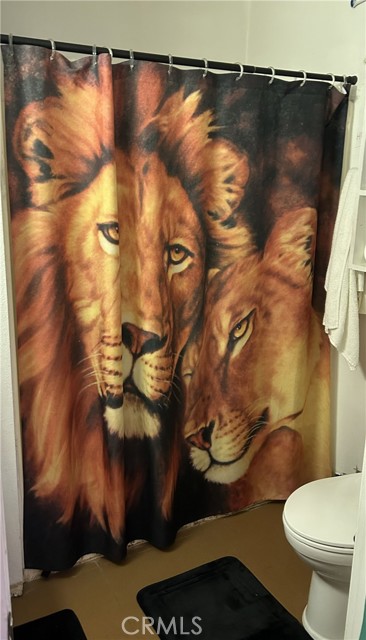 Detail Gallery Image 29 of 40 For 28639 Rostrata, Lake Elsinore,  CA 92532 - 5 Beds | 2 Baths