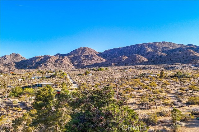 Detail Gallery Image 46 of 55 For 8173 Fleur Dr, Joshua Tree,  CA 92252 - 2 Beds | 3 Baths