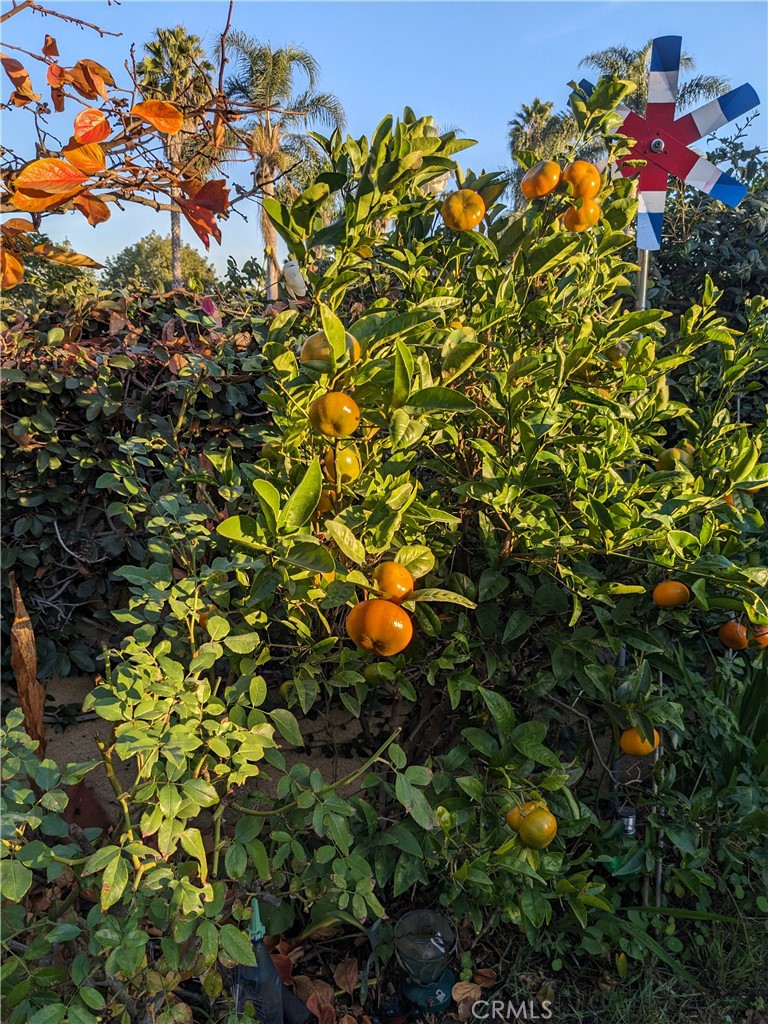 https://media.crmls.org/medias/7c918287-e9bc-49c7-8d90-01bf3374e940.jpg?preset=X-Large