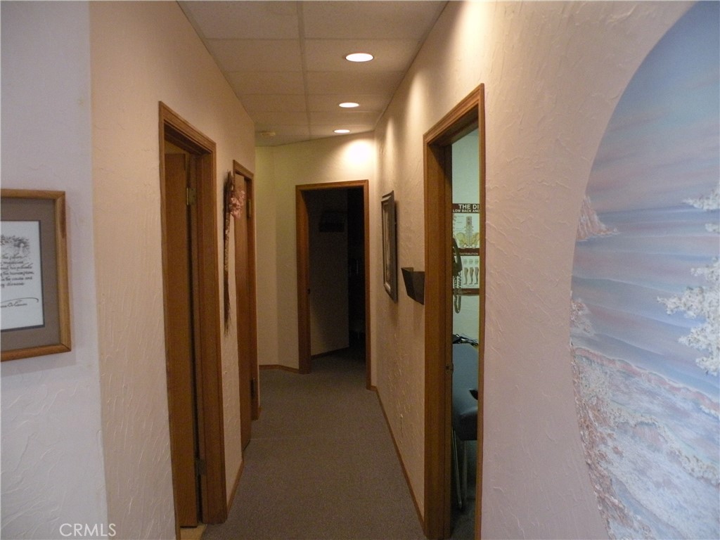 MLS #PI25216616 image #11