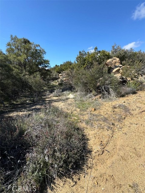 0 Covered Wagon Trail, Anza, California 92539, ,Land,For Sale,0 Covered Wagon Trail,CRSW24042253