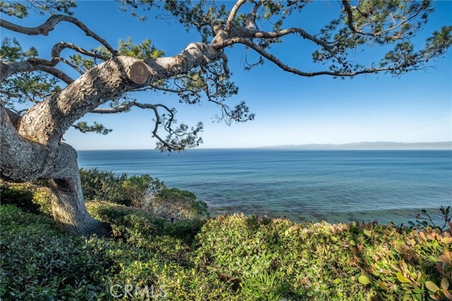 Detail Gallery Image 5 of 75 For 1733 Paseo Del Mar, Palos Verdes Estates,  CA 90274 - 6 Beds | 5/1 Baths