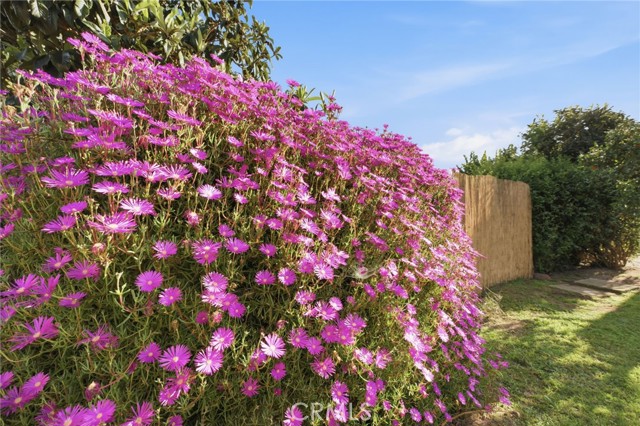 Detail Gallery Image 38 of 54 For 158 Cecil, Costa Mesa,  CA 92627 - 3 Beds | 2/1 Baths