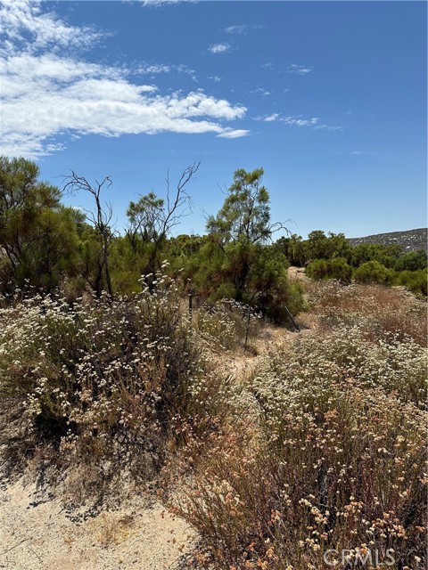 Detail Gallery Image 55 of 64 For 39838 Reed Valley Rd, Hemet,  CA 92544 - 1 Beds | 1 Baths