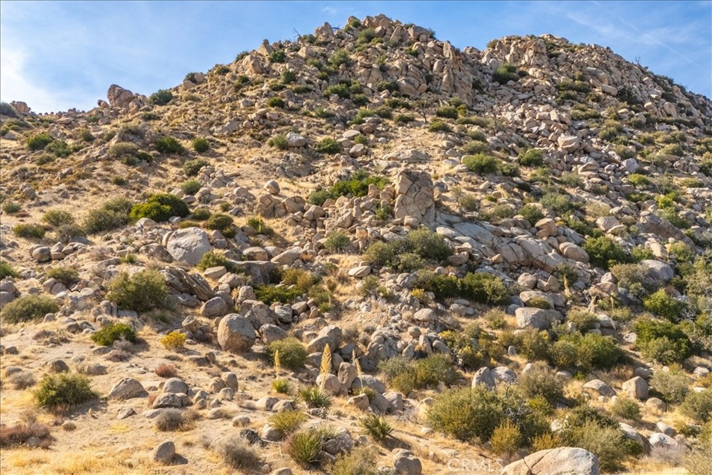 MLS #JT25254315 image #41