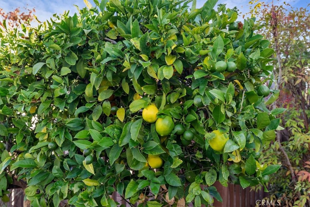 https://media.crmls.org/medias/7cb4c4e0-c068-4bb9-bfb5-a2953fde1bbb.jpg?preset=X-Large