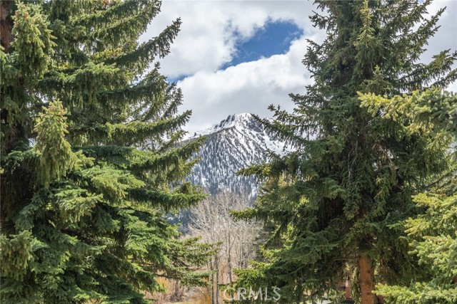 Detail Gallery Image 39 of 41 For 105 Sanctuary #105,  Mammoth Lakes,  CA 93546 - 2 Beds | 2 Baths