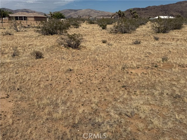 Detail Gallery Image 15 of 32 For 0 Japatul Rd, Apple Valley,  CA 92307 - – Beds | – Baths