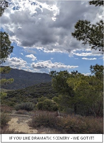 Detail Gallery Image 26 of 39 For 60795 Rimrock Canyon Rd, Anza,  CA 92539 - 3 Beds | 2 Baths