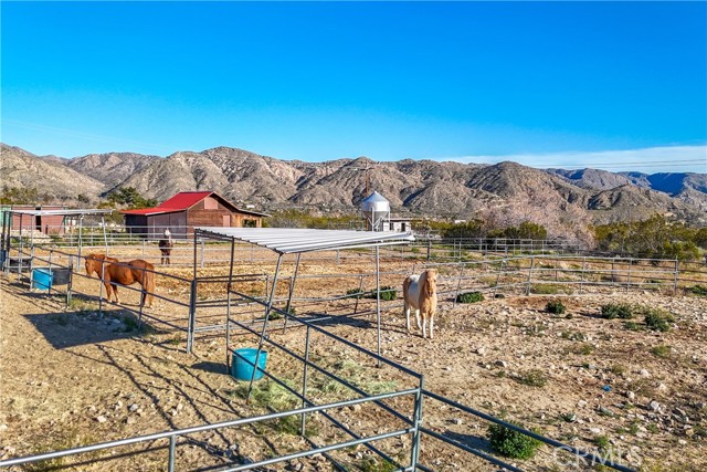 Detail Gallery Image 56 of 70 For 8949 Desert Willow Trl, Morongo Valley,  CA 92256 - 3 Beds | 2 Baths