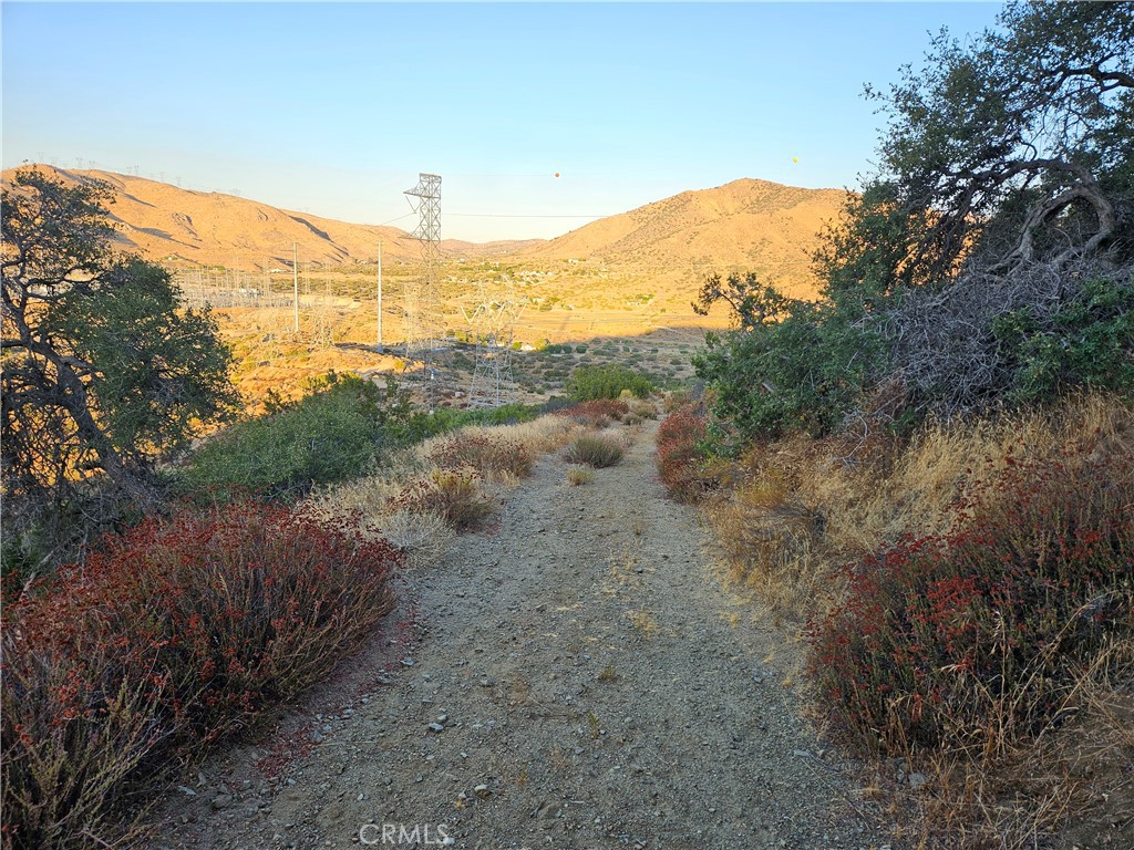 MLS #DW25180755 image #8