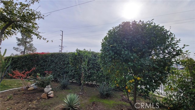 Detail Gallery Image 33 of 58 For 2701 Berkeley, Bakersfield,  CA 93305 - 3 Beds | 2 Baths