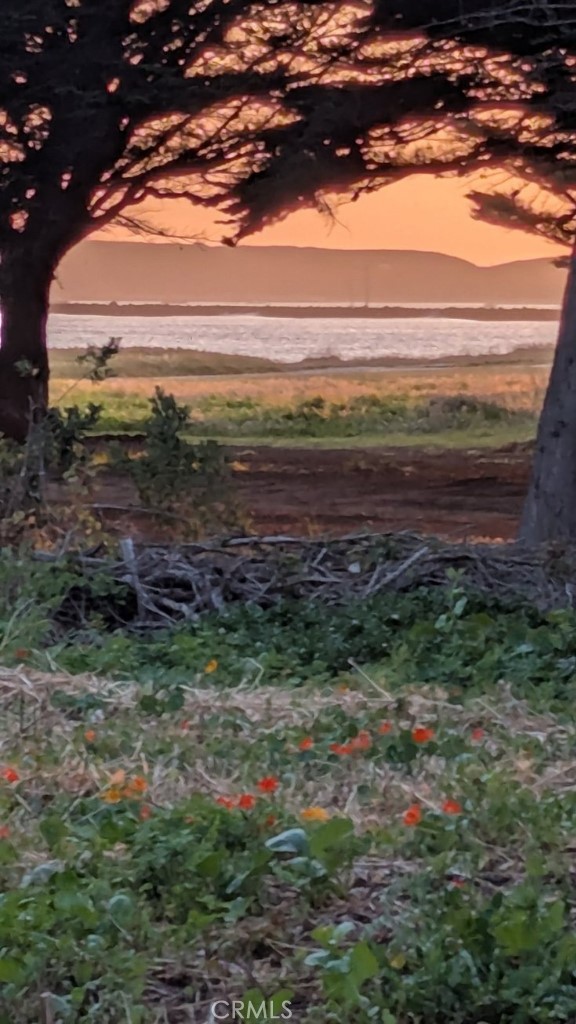121 Magellan Avenue, Half Moon Bay CA: https://media.crmls.org/medias/7cce6447-973e-49ac-8b8c-4367619f6526.jpg
