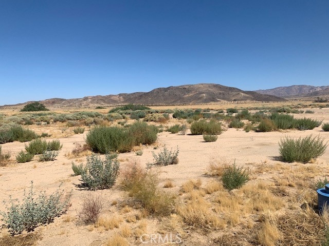 MLS #NP24151597 image #3