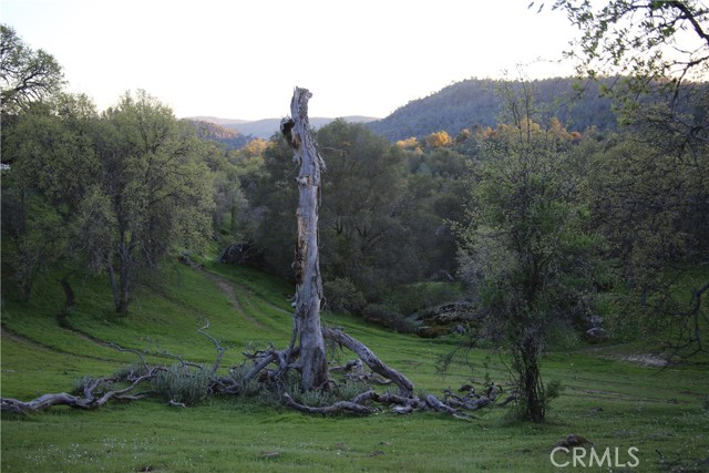 Detail Gallery Image 3 of 14 For 18 Unassigned Usona Rd., Mariposa,  CA 95338 - – Beds | – Baths