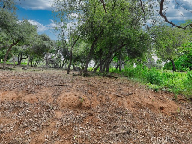 Detail Gallery Image 9 of 11 For 3218 Skyline Dr, Kelseyville,  CA 95451 - – Beds | – Baths
