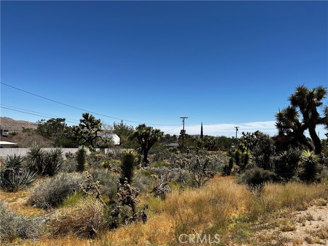 Image 3 for 56771 Piute Trail, Yucca Valley, CA 92284