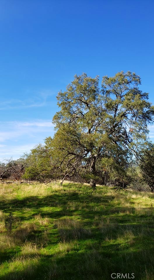 Detail Gallery Image 10 of 15 For 0 Unassigned Boyer Rd, Mariposa,  CA 95338 - – Beds | – Baths